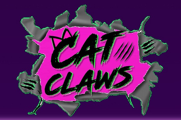 TNS - Marketplace - CAT CLAWS POSTIÇAS DECORADAS